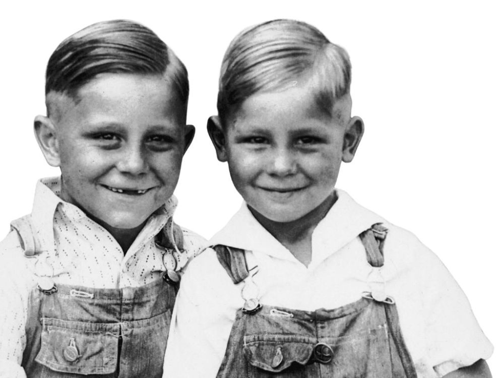 Ellis Brothers